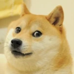 Logo of Doge android Application 